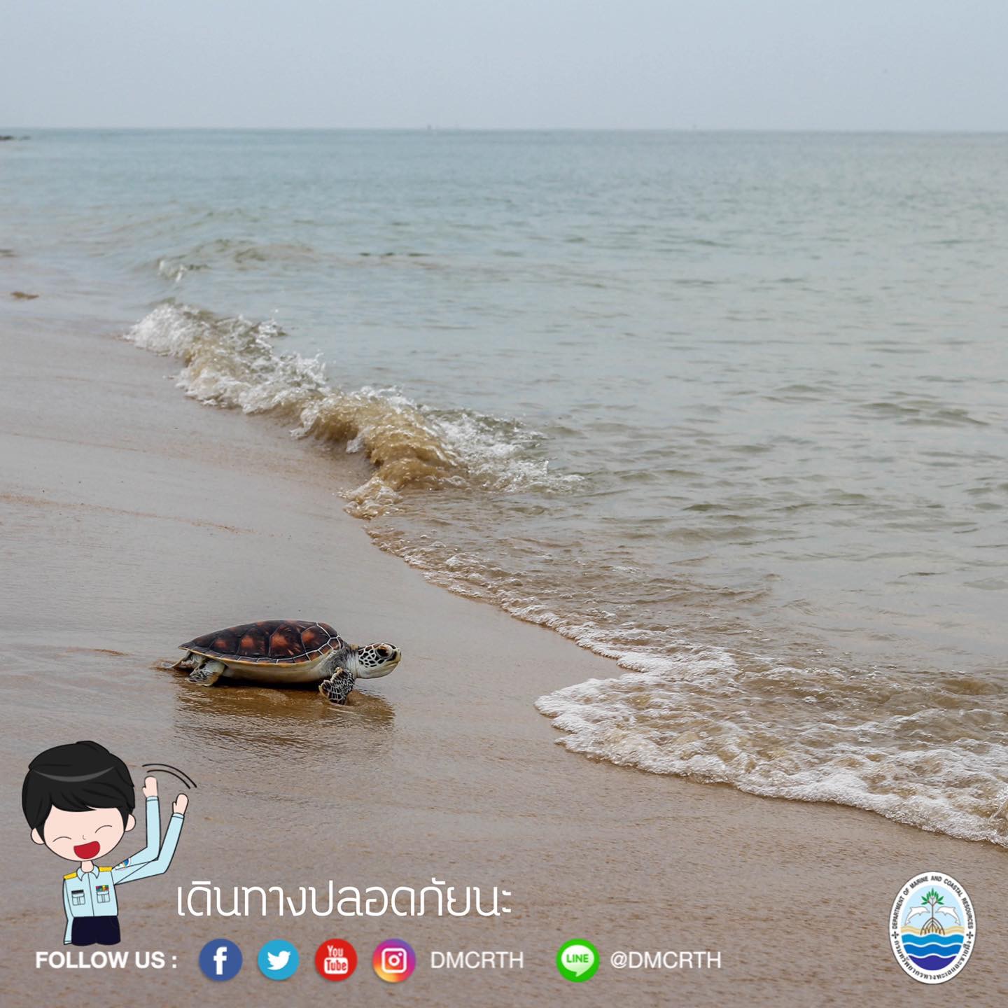 สวัสดี พี่น้องเครือข่ายอนุรักษ์ทะเลไทย