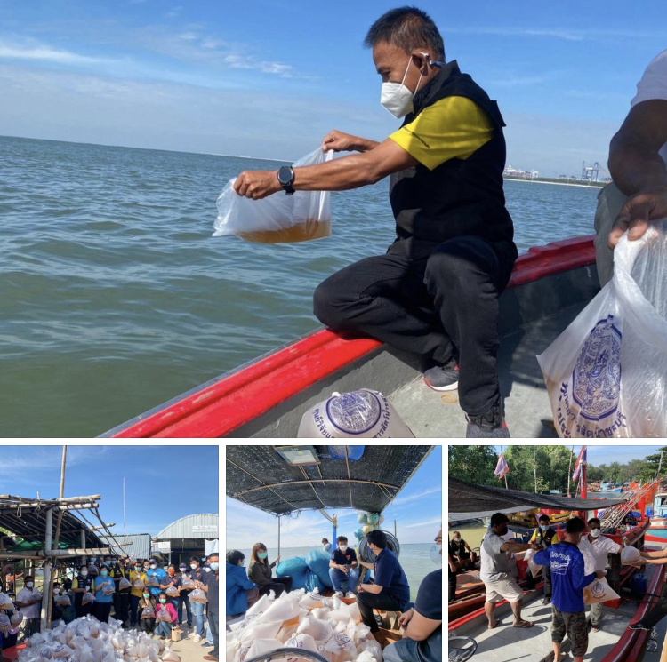 บางละมุง จัดปล่อยพันธุ์กุ้งเสริมทะเลชลบุรีเพิ่มอีกจุด