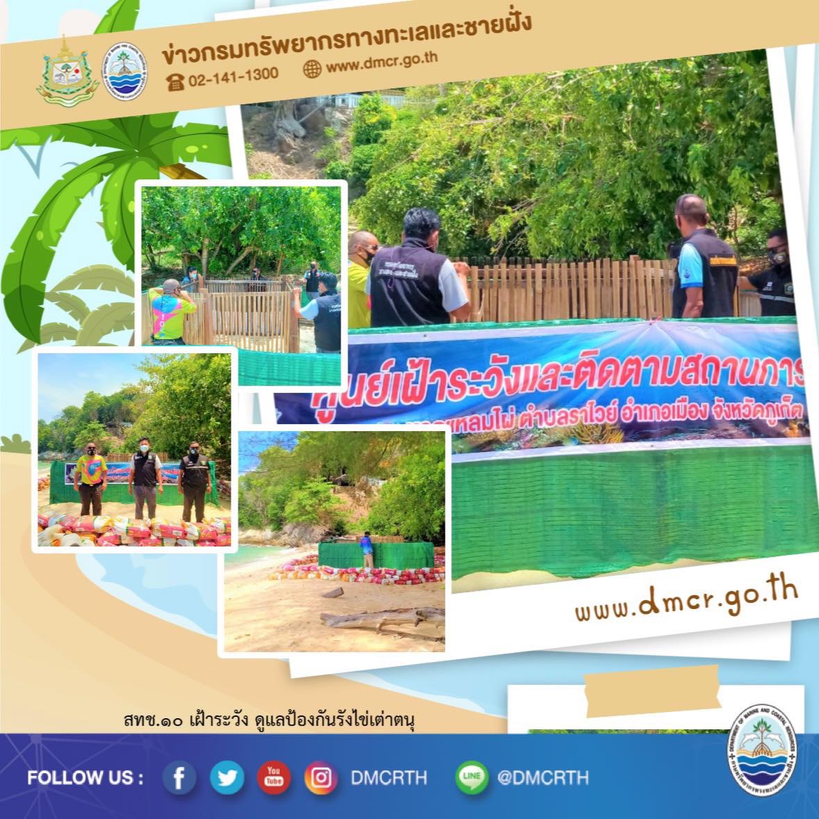 อยู่เฝ้าเต่าตนุหาดราไวย์ ริมทะเลภูเก็ตปลอดภัยไร้รบกวน