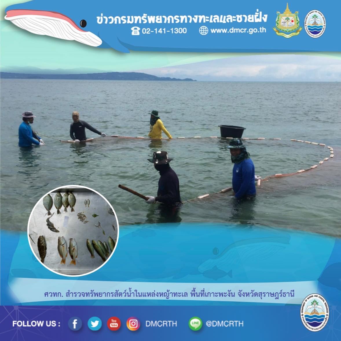 สำรวจความหลากหลายสัตว์และพืชทะเลเกาะพะงัน