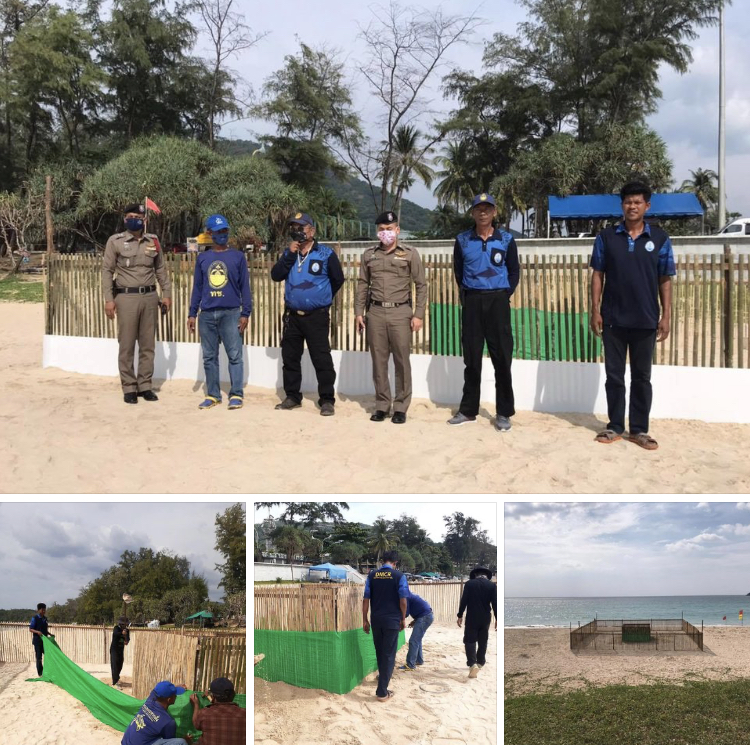 ประชาสัมพันธ์ให้ความรู้เรื่องเต่ามะเฟืองหาดกะตะ ภูเก็ต
