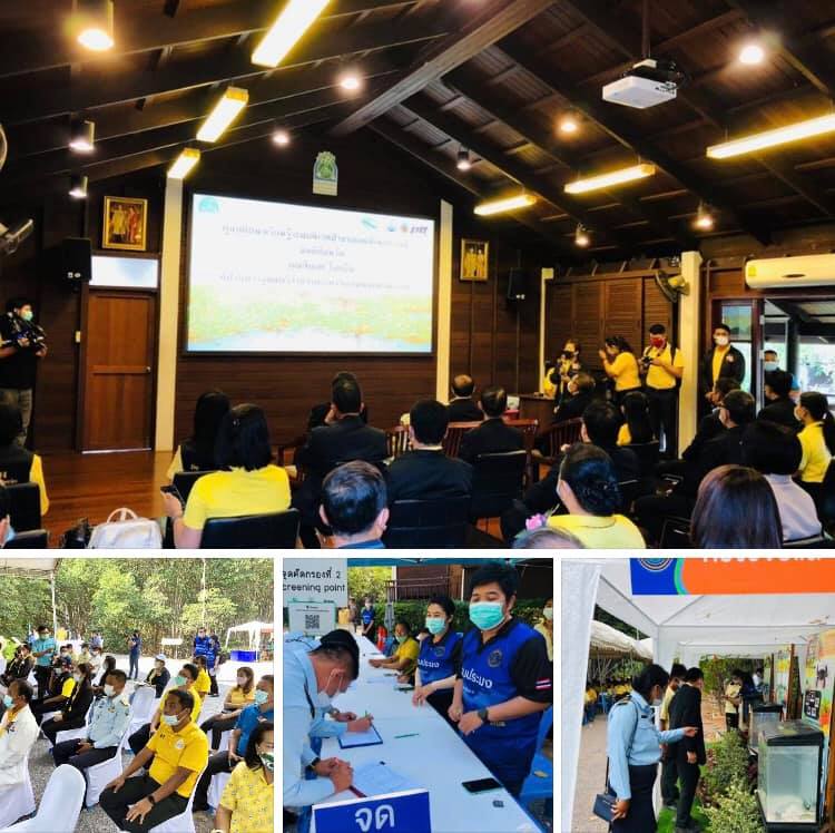 ร่วมกิจกรรมปล่อยพันธุ์ปูทะเล คืนสู่ความอุดสมบูรณ์ ประจวบฯ