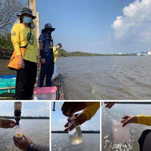 พบค่าคุณภาพน้ำบริเวณปากน้ำบางปะกงเปลี่ยน ปลาลอยตายเกลื่อน