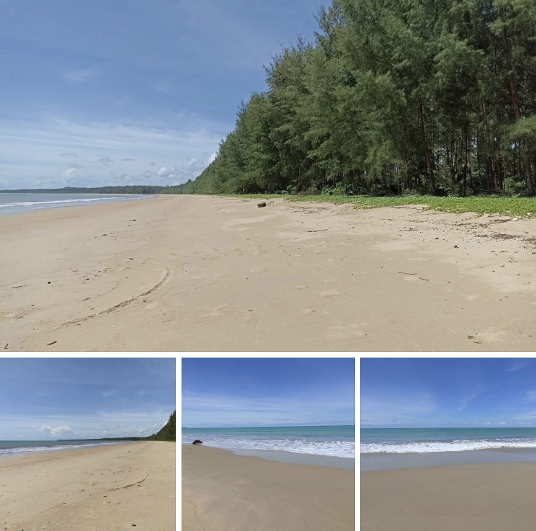 ชายฝั่งเกาะคอเขา สภาพทั่วไปสมดุลไม่พบการกัดเซาะ