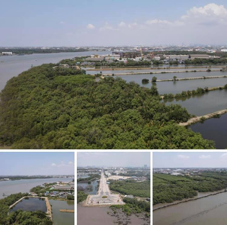 กรมทะเล พาสำรวจชายฝั่งบางปู ดูหาดอมรา