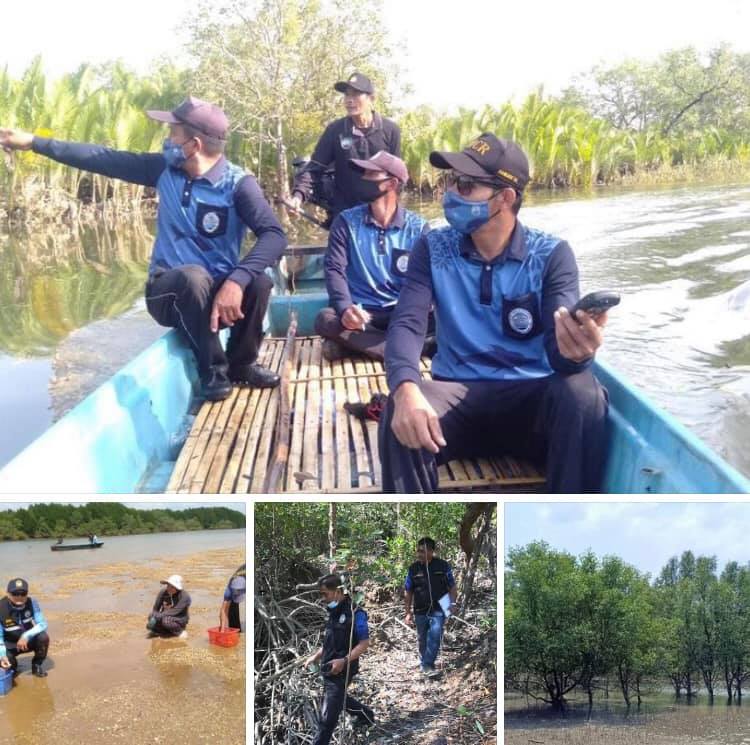ลาดตระเวนป่าชายเลนระนอง สมบูรณ์ดี เหตุการณ์ปกติ