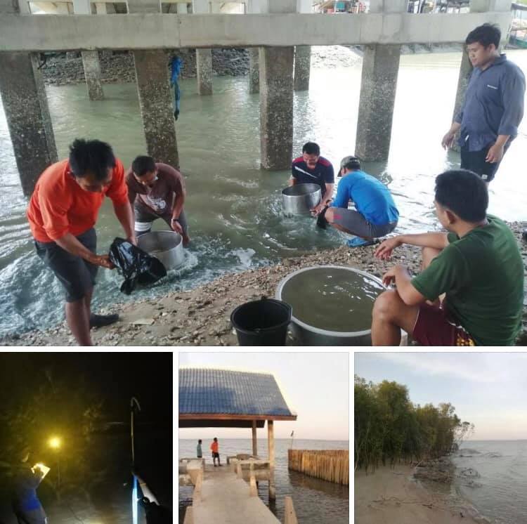 สำรวจทะเลเพชรบุรี พบกัดเซาะส่งผลต่อความหลากหลายในทะเล