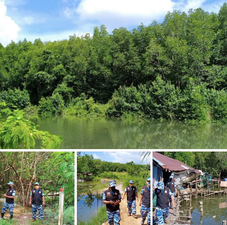 ลาดตระเวนชมป่าชายเลนสมบูรณ์ เขตคุระบุรี