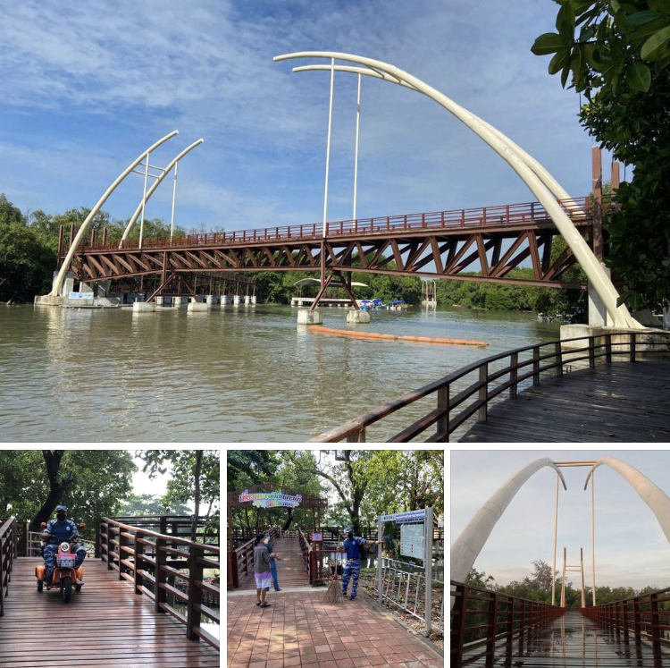 วิวสวยมีหลายมุม ที่ป่าชายเลนพระเจดีย์กลางน้ำระยอง