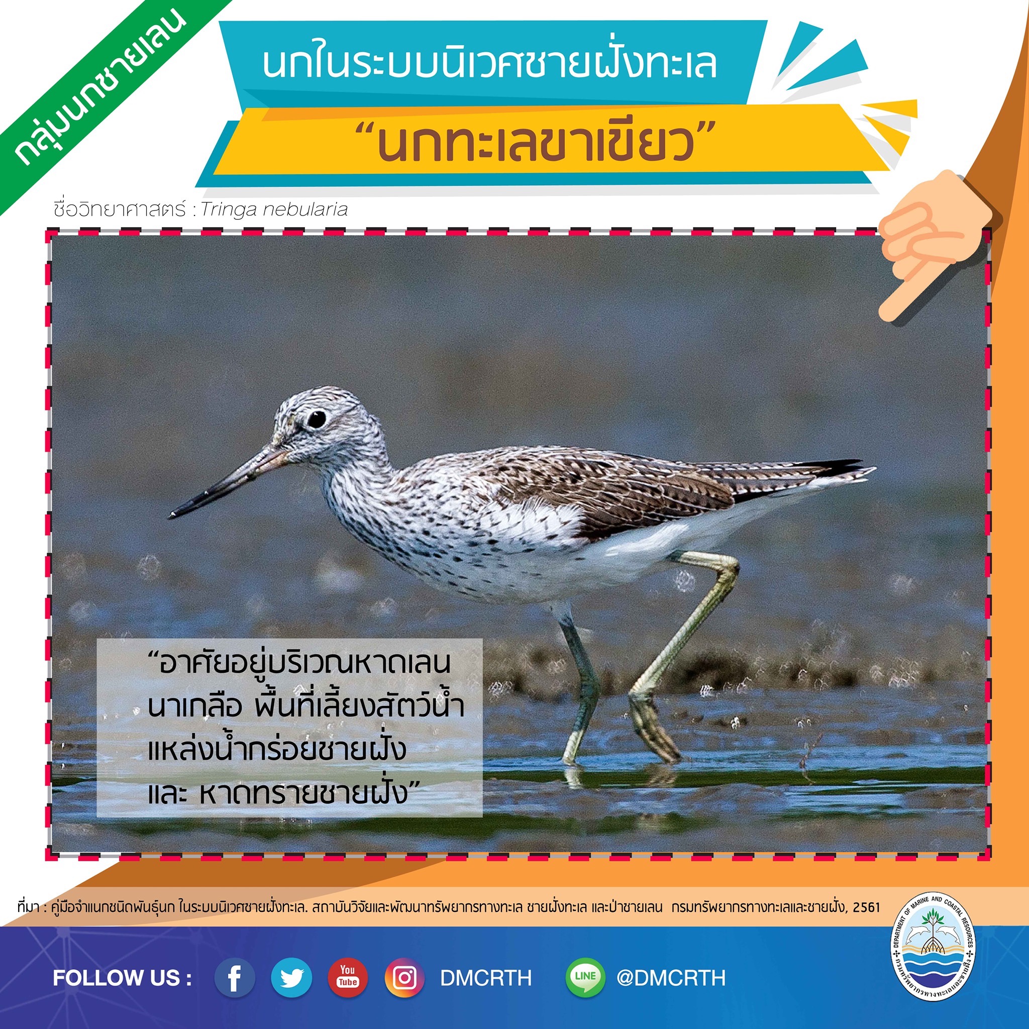 นก ไม่นก ถ้ารู้จักแล้วจะรักนกในระบบนิเวศชายฝั่งทะเลไทย #๒๐