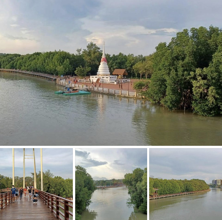 สวยทุกมุม ป่าชายเลนพระเจดีย์กลางน้ำ ปากน้ำระยอง