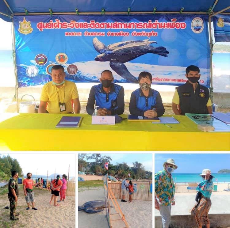 ฝั่งภูเก็ตสถานการณ์ปกติดี ไร้วี่แววแม่เต่ามะเฟืองวางไข่เพิ่ม