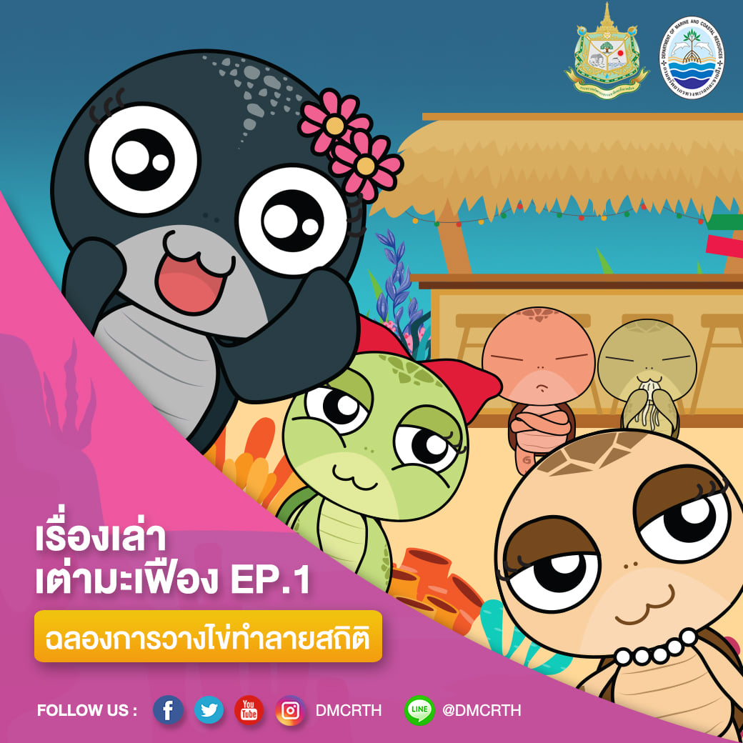 ดีใจหน้าบาน ทช. ฉลองแม่เต่ามะเฟืองทุบสถิติการวางไข่ต่อเนื่อง #๑