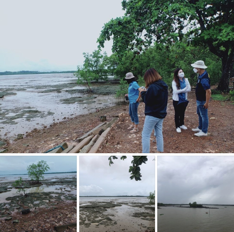 เตรียมประกาศกฎกระทรวงป้องกันการกัดเซาะชายฝั่งหาดห้วงน้ำขาว