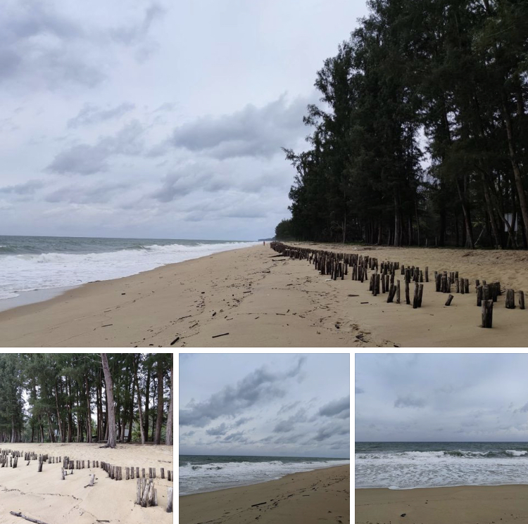 ตรวจชายฝั่งหาดท่าไทรและหาดบ้านท่าด่าน บ้านเต่ามะเฟือง