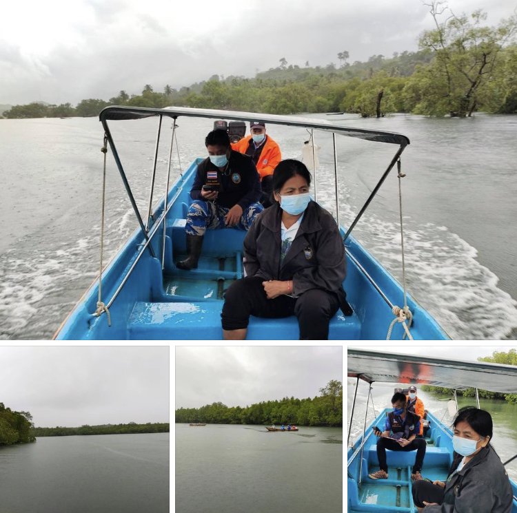 ลาดตระเวนในเขตป่าสงวนแห่งชาติป่าคลองทองหลาง สมบูรณ์ดี