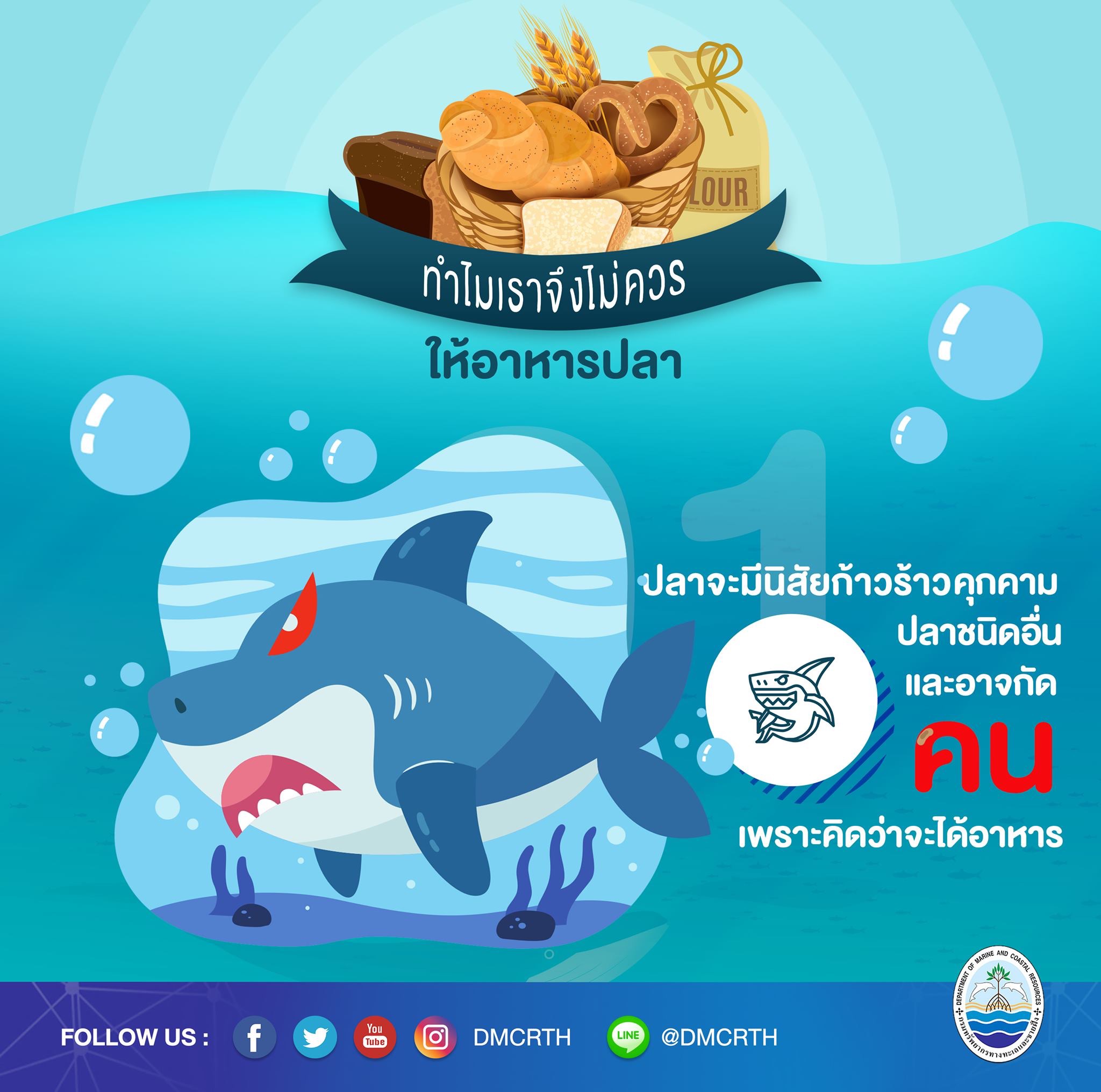 ทำไมจึงควรหยุดให้อาหารปลาในแนวปะการัง ตอนที่๑