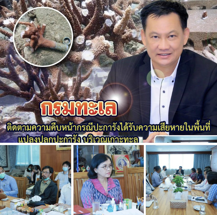 กรมทะเล เร่งตามเรื่องหักกิ่งปะการังในแปลงฟื้นฟูเกาะทะลุ