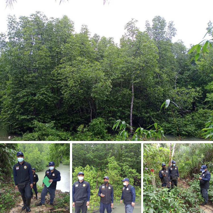 ป่าสงวนแห่งชาติป่าเลนโครงการกิ่งอำเภอคุระบุรี เหตุการณ์ปกติ