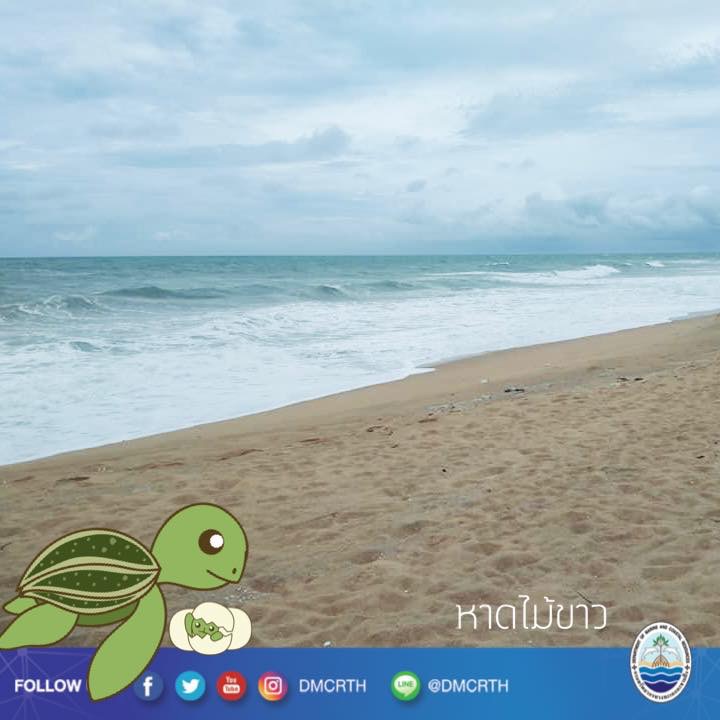 สวัสดี พี่น้องเครือข่ายอนุรักษ์ทะเลไทย