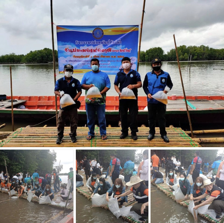 ร่วมประมงจันทบุรี ปล่อยพันธุ์สัตว์น้ำเพิ่มความสมบูรณ์ทะเลจันทบุรี