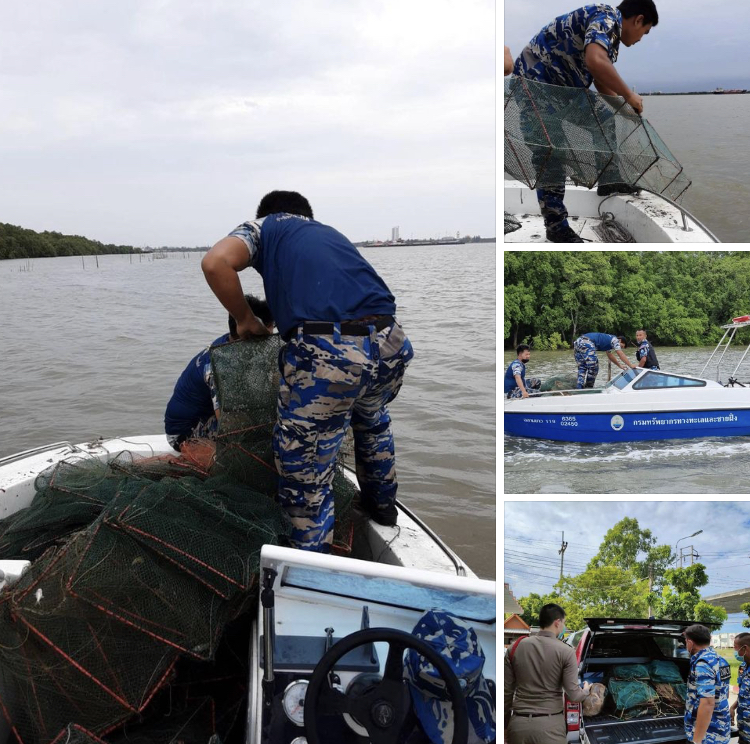 ขอยึดลอบพับวางในทะเลบางปะกง ผิดกฎหมายประมง