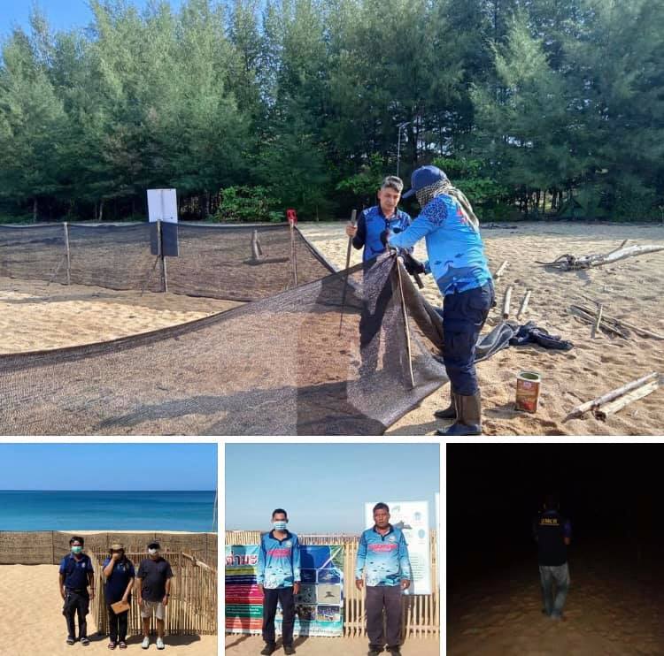 ปิดศูนย์ฯ เต่ามะเฟืองหาดคอเขา รอลุ้นใหม่ที่หาดบางขวัญ