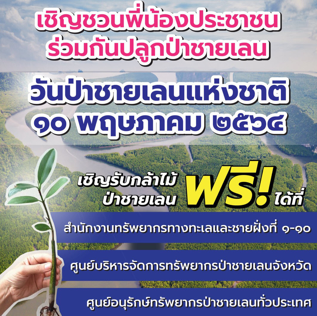 วันป่าชายเลนแห่งชาติ กรมทะเลเชิญรับกล้าไม้ป่าชายเลนฟรี