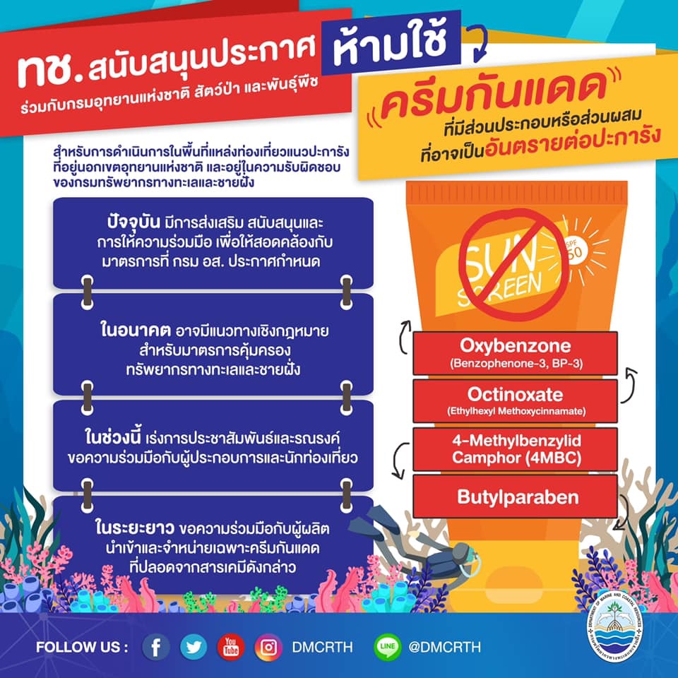 กรมทะเล ประกาศสนับสนุน ห้ามทาครีมกันแดดอันตรายเล่นน้ำในแนวปะการัง