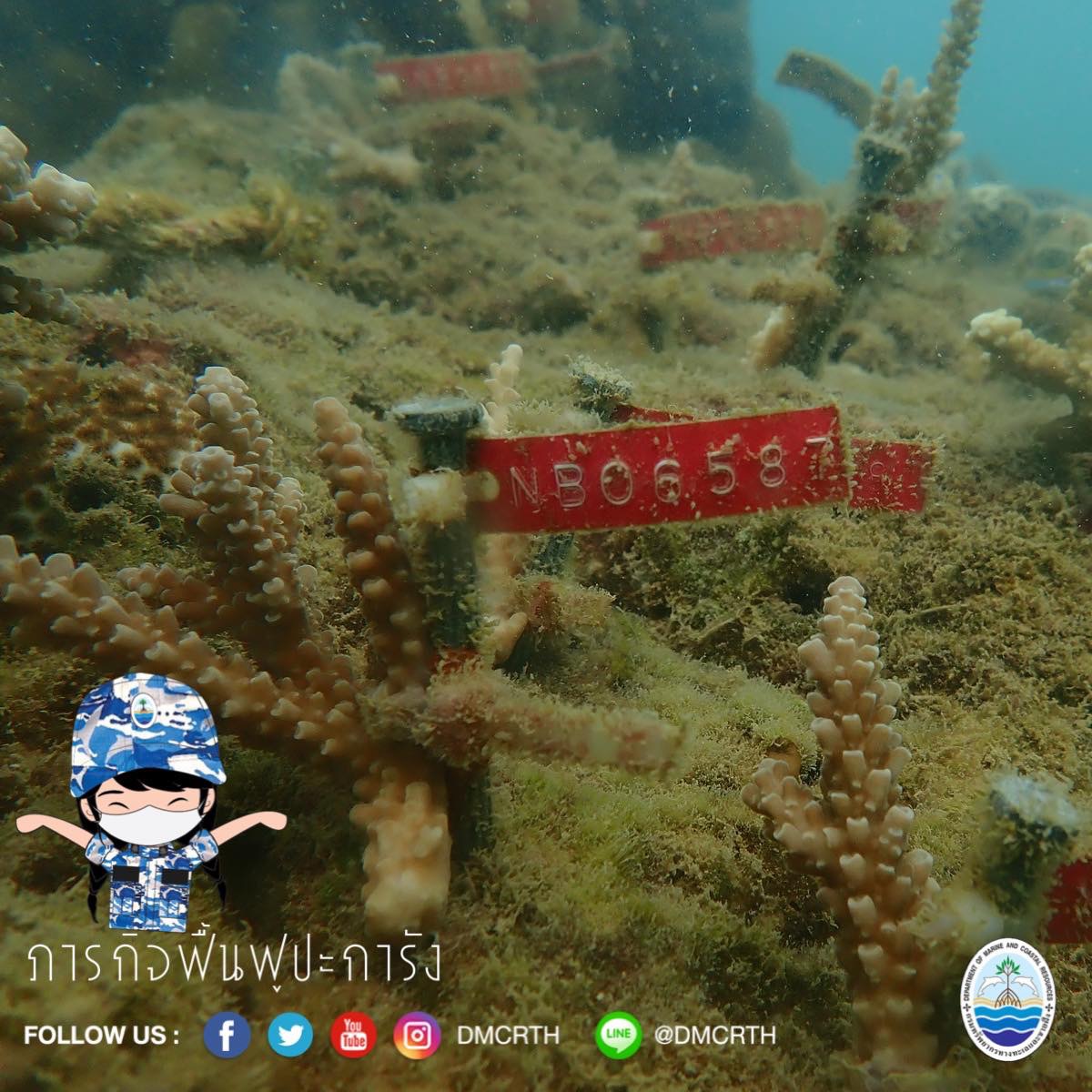 สวัสดี พี่น้องเครือข่ายอนุรักษ์ทะเลไทย