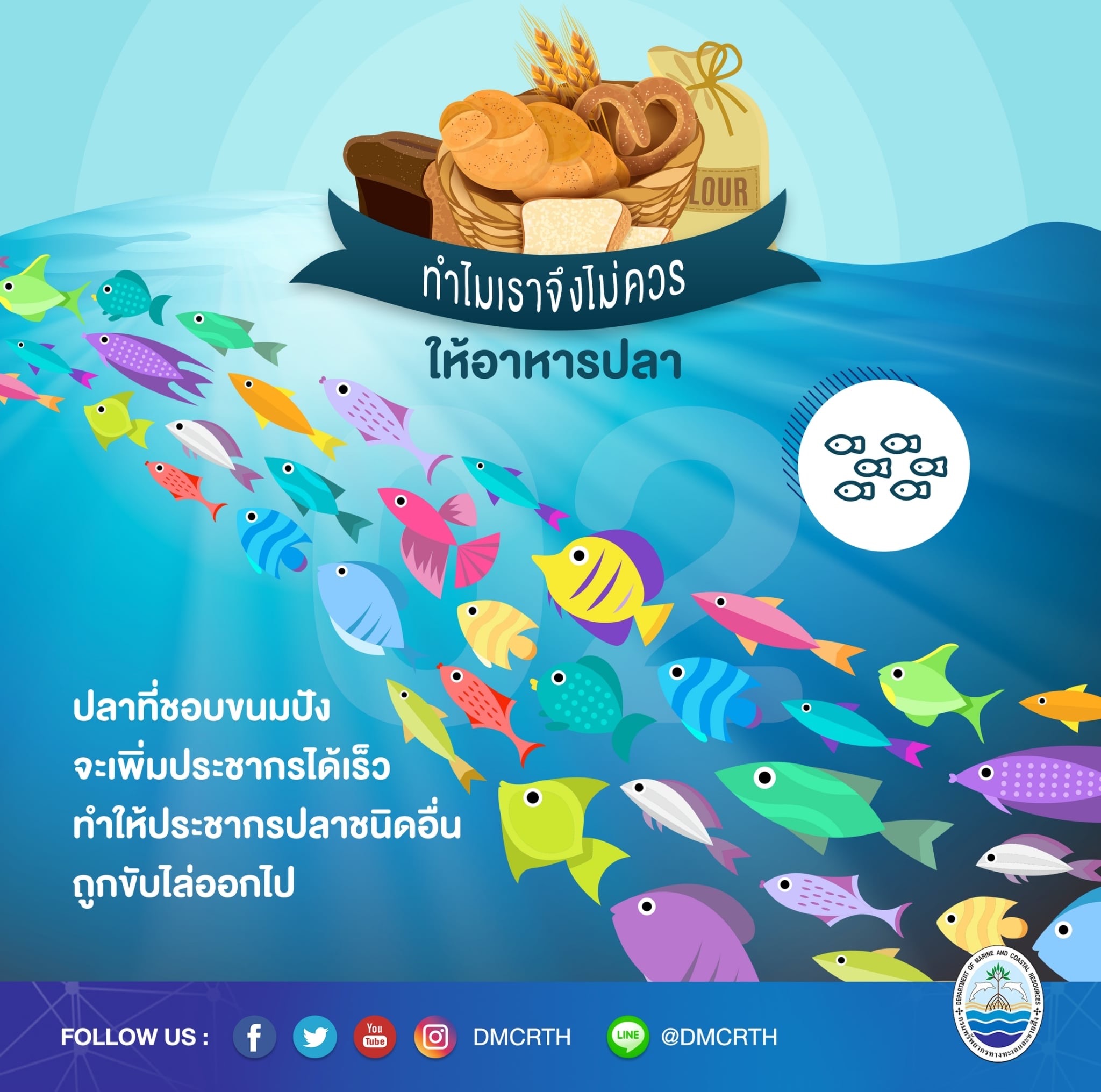 ทำไมจึงควรหยุดให้อาหารปลาในแนวปะการัง ตอนที่๒