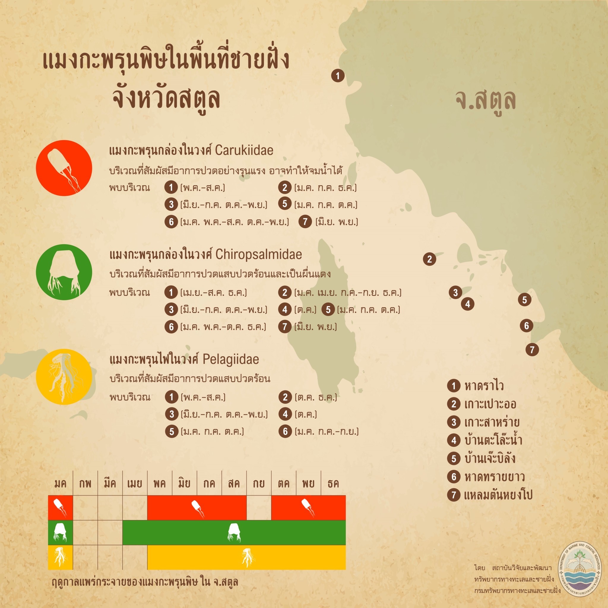 รู้จักกันหน่อยแมงกะพรุนในน่านน้ำไทย ตอนที่ ๒๑ ทะเลสตูล