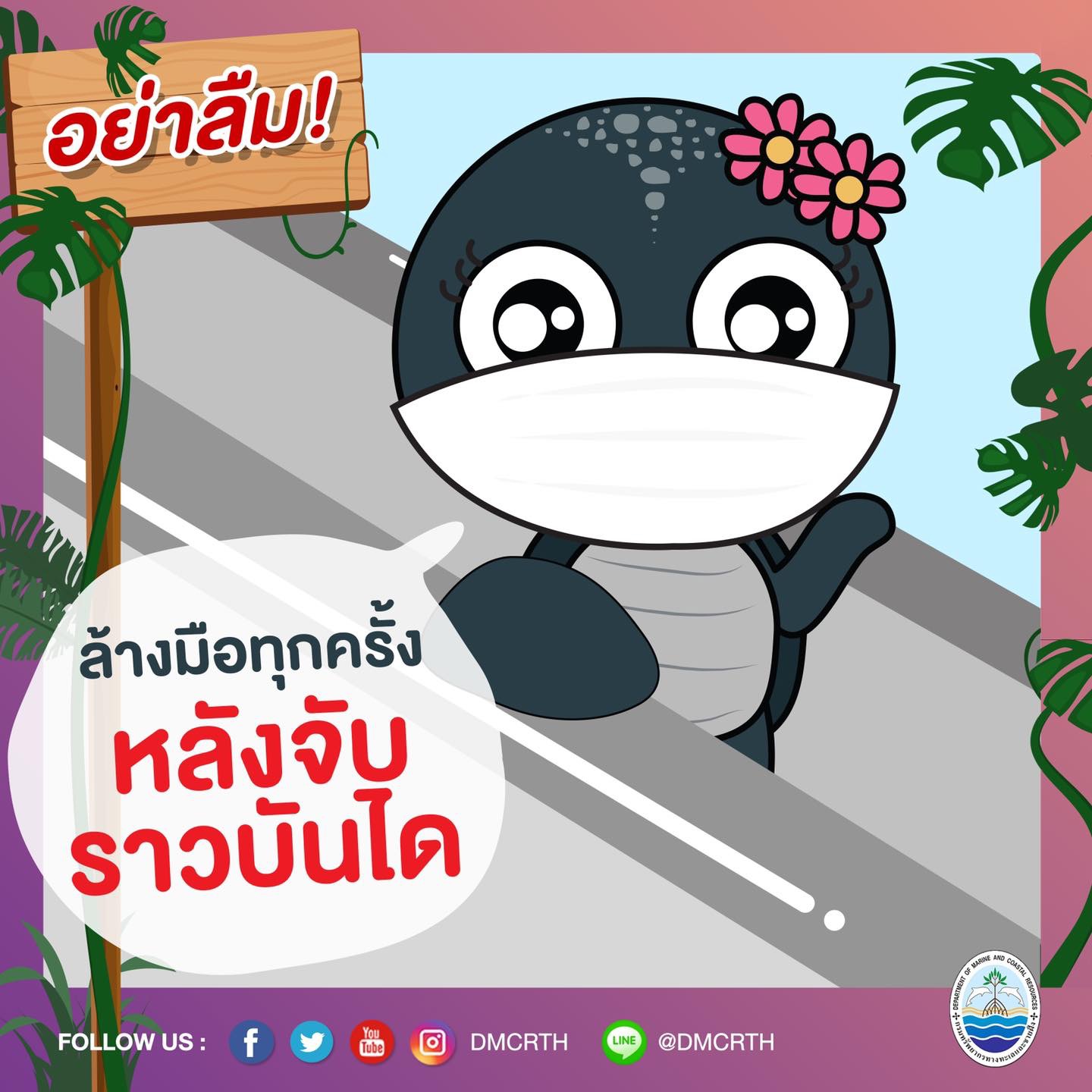 สวัสดี พี่น้องเครือข่ายอนุรักษ์ทะเลไทย