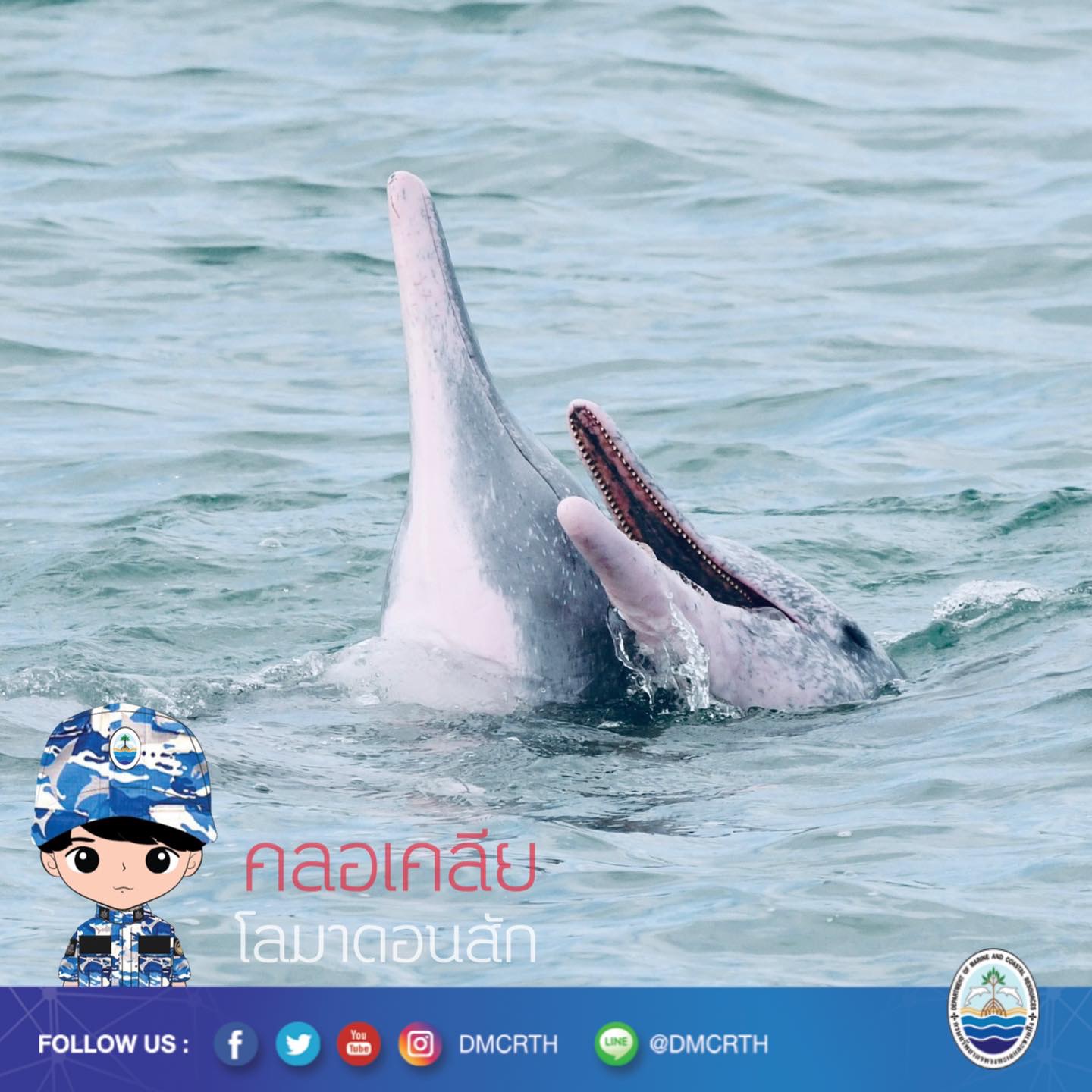 สวัสดี พี่น้องเครือข่ายอนุรักษ์ทะเลไทย
