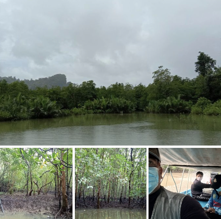 ลาดตระเวนเขตป่าเลนบ้านบางเตย สถานการณ์ปกติดี