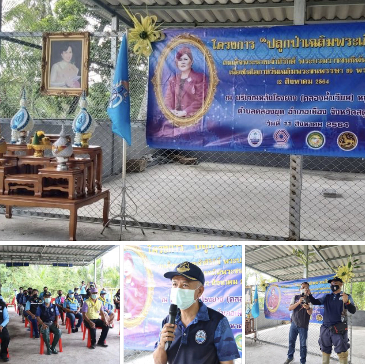 ชาวสตูล ปลูกป่าชายเลนเฉลิมพระเกียรติพระบรมราชชนนีพันปีหลวง