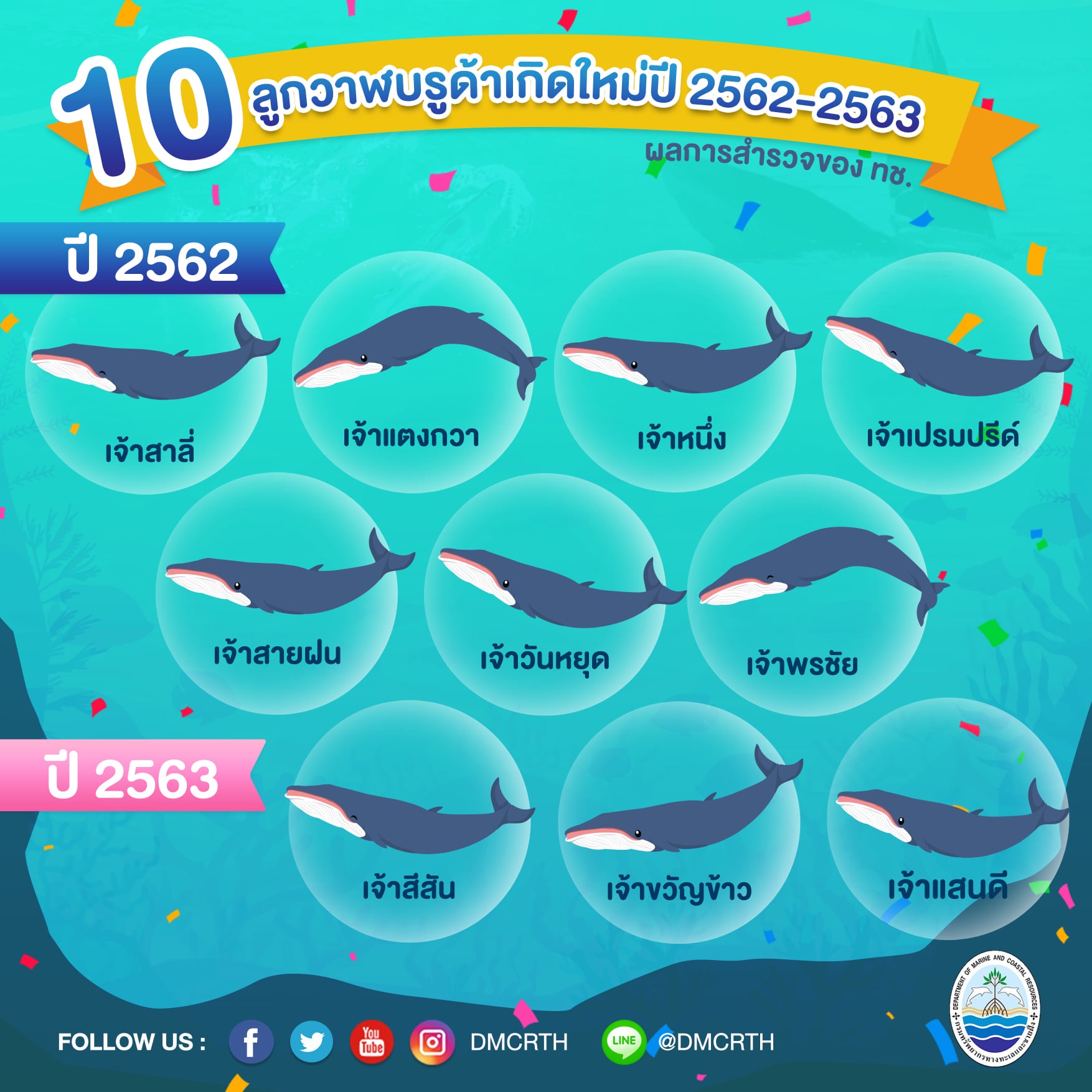 ๑๐ วาฬบรูด้าเกิดใหม่ ในรอบปี ๒๕๖๒-๒๕๖๓