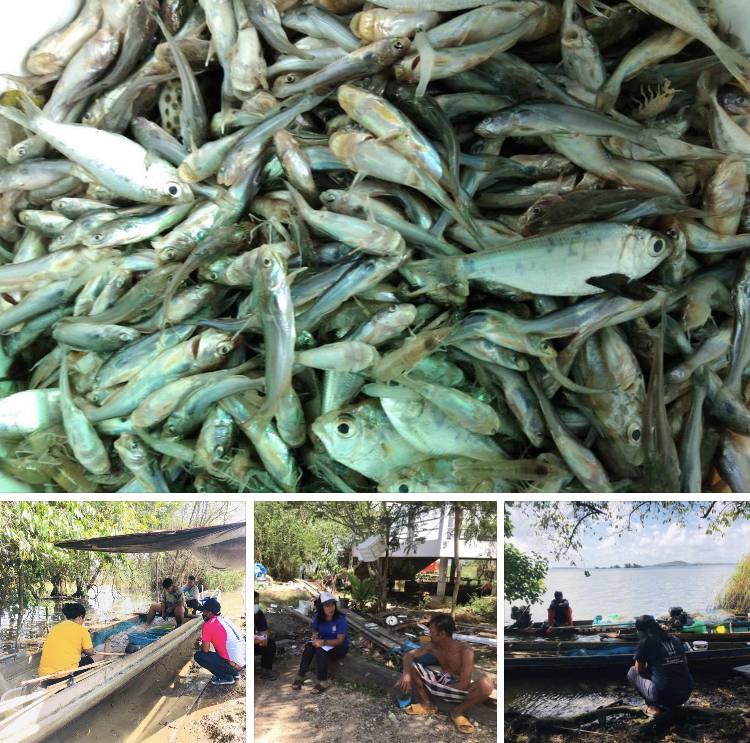 สำรวจสัตว์น้ำในทะเลสาบสงขลา เตรียมงานอนุรักษ์ให้คงอยู่