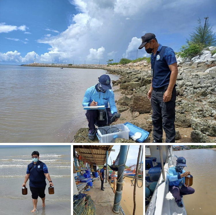 รุดตรวจคราบน้ำมันลอยน้ำ บริเวณชายหาดสวนสน ทะเลระยอง