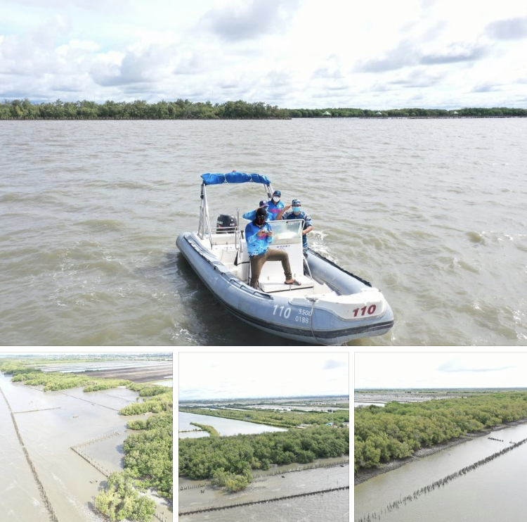 ล่องเรือตรวจแนวป่าชายเลนอ่าวไทยตอนบน ไม่พบการบุกรุก