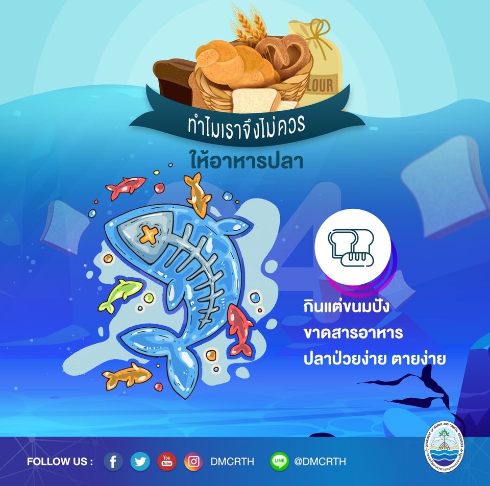 ทำไมจึงควรหยุดให้อาหารปลาในแนวปะการัง ตอนที่๔