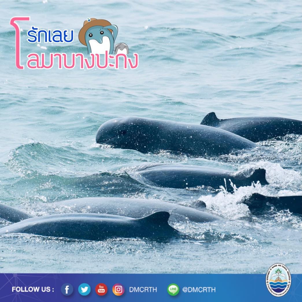 สวัสดี พี่น้องเครือข่ายอนุรักษ์ทะเลไทย