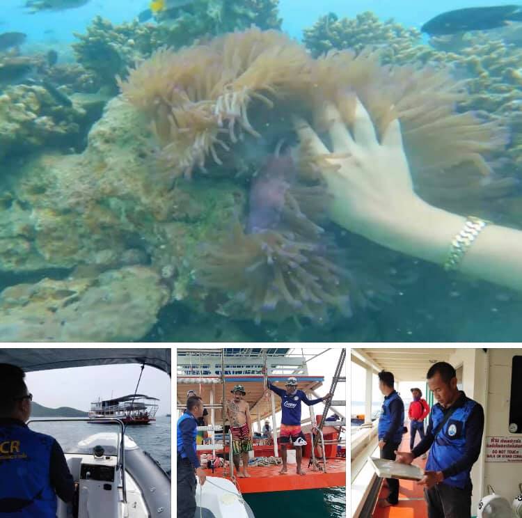 ตรวจสอบเรือ Sea Walker เกาะล้าน ยังไม่พบเรือต้นเหตุ