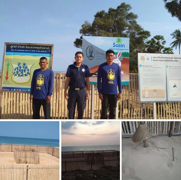 ปลอดภัยดีทั้ง ๓ หลุม หาดนาเกลือรอฟักลงทะเลเร็วๆ นี้