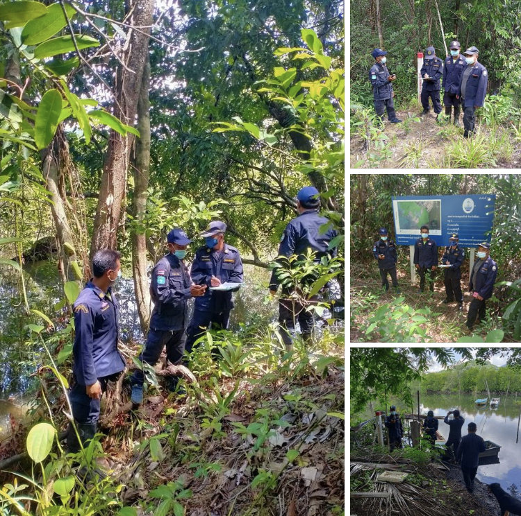 ลาดตระเวนเชิงคุณภาพคุ้มครองทรัพยากรป่าชายเลนคุระบุรี