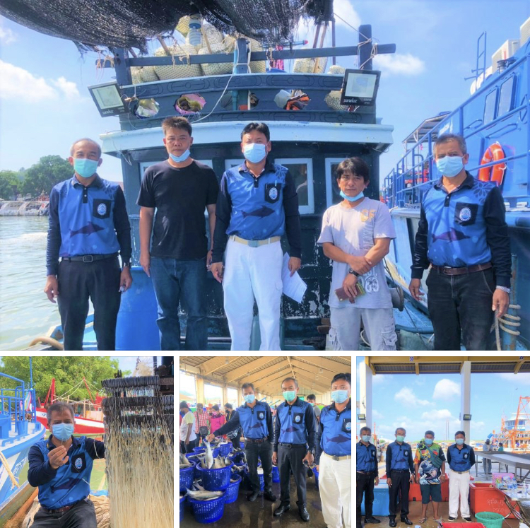 ร่วมกับองค์การสะพานปลาและด่านตรวจประมงภูเก็ต ตรวจชนิดสัตว์น้ำ