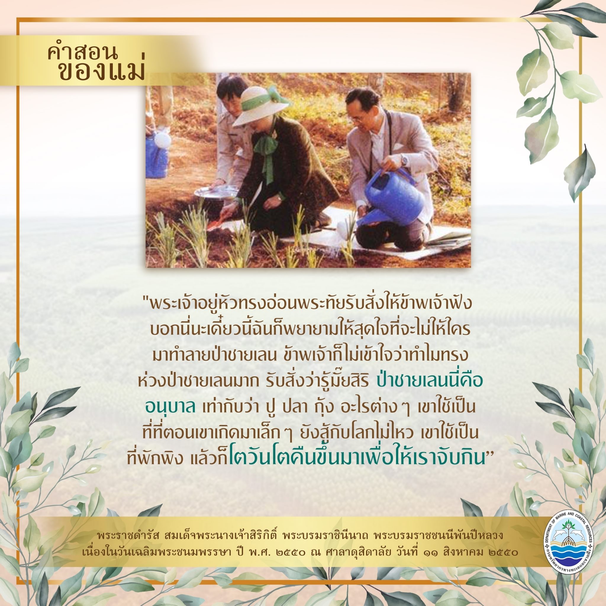 คำสอนของแม่ เรื่องคุณค่าของป่าชายเลน