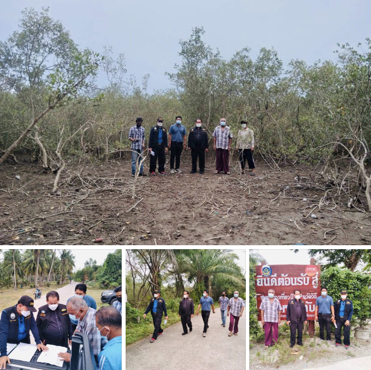 เดินหน้าต่อ วางแผนจัดการพื้นที่ป่าชายเลนอ่าวทองคำ