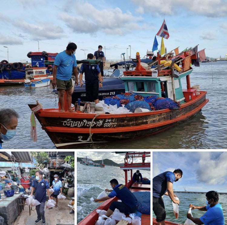 ปล่อยกุ้งเพิ่ม เสริมความสมบูรณ์ทะเลศรีราชา