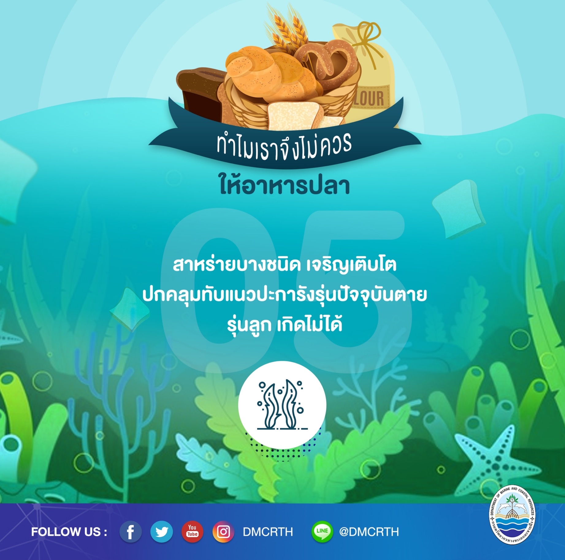 ทำไมจึงควรหยุดให้อาหารปลาในแนวปะการัง ตอนที่๕